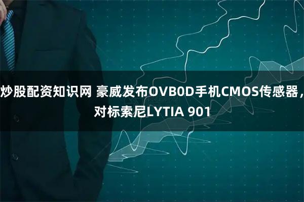 炒股配资知识网 豪威发布OVB0D手机CMOS传感器，对标索尼LYTIA 901