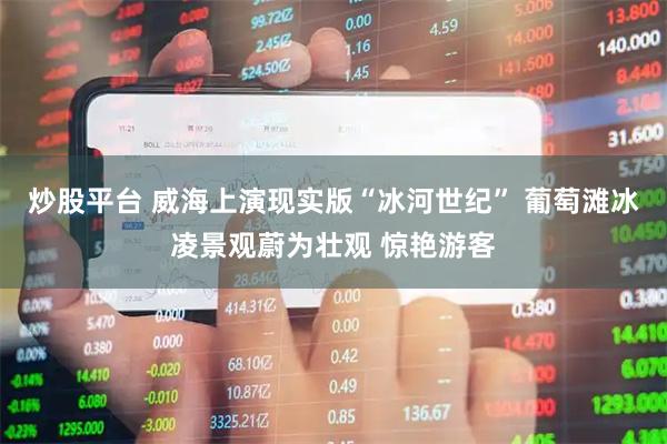 炒股平台 威海上演现实版“冰河世纪” 葡萄滩冰凌景观蔚为壮观 惊艳游客